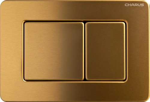 Клавиша смыва CHARUS ROBUSTO FP.310.BTG.05 брашированное золото (темное) Клавиша смыва CHARUS ROBUSTO FP.310.BTG.05 брашированное золото (темное)