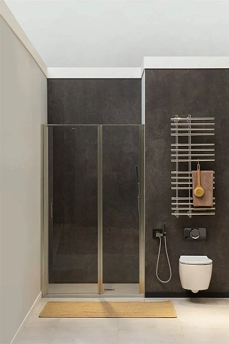 Душевая дверь Allen Brau Priority 100 серебро браш 3.31005.BA Душевая дверь Allen Brau Priority 100 серебро браш 3.31005.BA