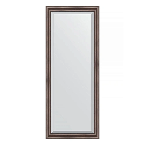 Зеркало в багетной раме Evoform Exclusive BY 1184 61 x 151 см, палисандр Зеркало в багетной раме Evoform Exclusive BY 1184 61 x 151 см, палисандр
