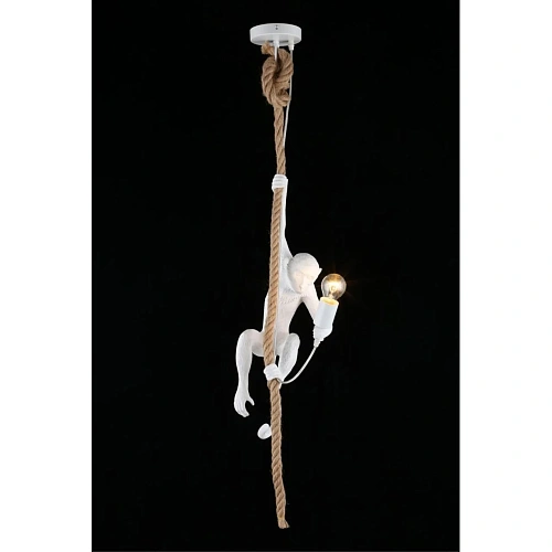 Светильник подвесной Aployt Magali APL.309.06.01 Светильник подвесной Aployt Magali APL.309.06.01