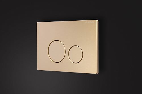 Клавиша смыва CHARUS ROBUSTO FP.330.BTG.05 брашированное золото (светлое) Клавиша смыва CHARUS ROBUSTO FP.330.BTG.05 брашированное золото (светлое)