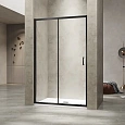 Душевая дверь RGW PA-114-B 1700 мм 030811417-14 Душевая дверь RGW PA-114-B 1700 мм 030811417-14
