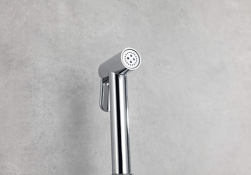 Гигиенический душ Aquatek ВЕГА AQ1019CR хром Гигиенический душ Aquatek ВЕГА AQ1019CR хром