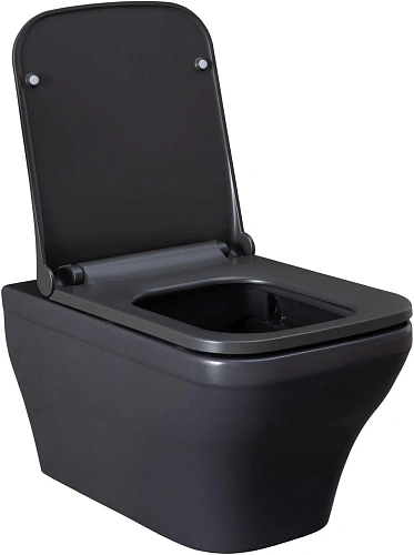 Унитаз подвесной Allen Brau Infinity 4.21011.AN с крышкой, антрацит Унитаз подвесной Allen Brau Infinity 4.21011.AN с крышкой, антрацит