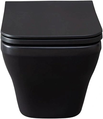 Унитаз подвесной Allen Brau Infinity 4.21011.31 с крышкой, черный матовый Унитаз подвесной Allen Brau Infinity 4.21011.31 с крышкой, черный матовый