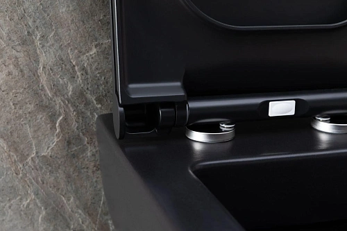 Унитаз подвесной Allen Brau Infinity 4.21011.31 с крышкой, черный матовый Унитаз подвесной Allen Brau Infinity 4.21011.31 с крышкой, черный матовый