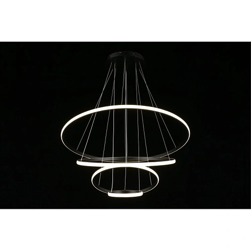 Люстра подвесная Aployt Janina APL.018.03.100 Люстра подвесная Aployt Janina APL.018.03.100