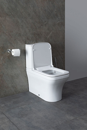 Чаша напольного унитаза Allen Brau Infinity 4.21012.20 с крышкой, белый глянец