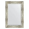 Зеркало в багетной раме Evoform Exclusive BY 1180 66 x 96 см, алюминий Зеркало в багетной раме Evoform Exclusive BY 1180 66 x 96 см, алюминий