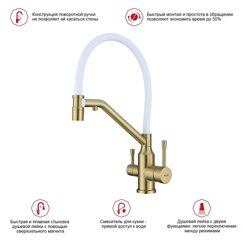 Смеситель для кухни Raglo R81.62.03 с гибким изливом с подключением к фильтру, золотой сатин Смеситель для кухни Raglo R81.62.03 с гибким изливом с подключением к фильтру, золотой сатин