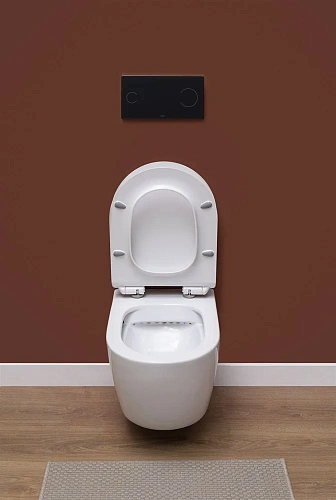 Унитаз подвесной Aquanet Rimless Cetus-W BL-102N-WHT CETUS-W с сиденьем Унитаз подвесной Aquanet Rimless Cetus-W BL-102N-WHT CETUS-W с сиденьем