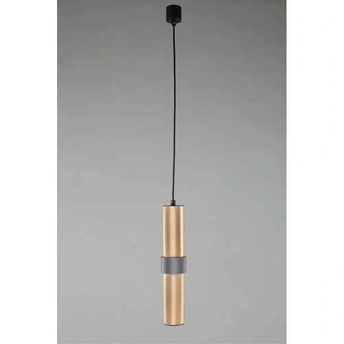 Светильник подвесной Aployt Beasia APL.614.16.01 Светильник подвесной Aployt Beasia APL.614.16.01