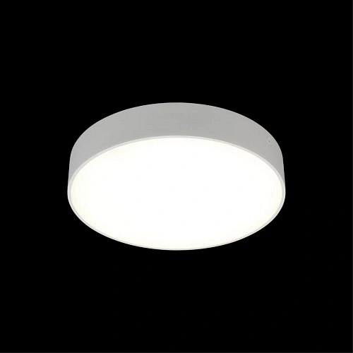 Светильник настенно-потолочный Aployt Evon APL.0114.09.24 Светильник настенно-потолочный Aployt Evon APL.0114.09.24