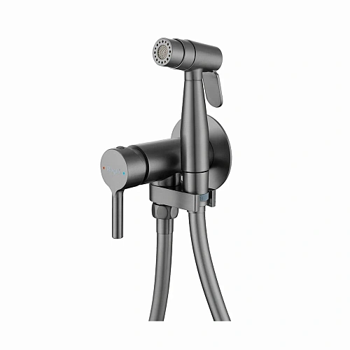 Гигиенический душ Raglo R20.54.09 встраиваемый, графит Гигиенический душ Raglo R20.54.09 встраиваемый, графит