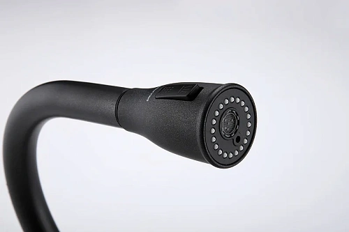 Смеситель для кухни Paulmark LANGE черный La214212-BLM Смеситель для кухни Paulmark LANGE черный La214212-BLM