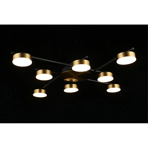 Люстра потолочная Aployt Delayn APL.042.07.56 Люстра потолочная Aployt Delayn APL.042.07.56