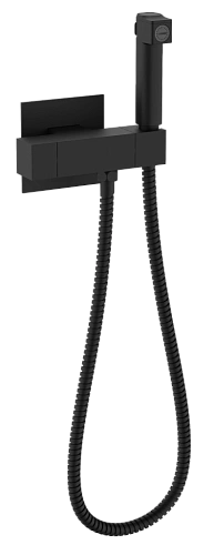 Гигиенический душ Raglo R24.56.06 встраиваемый с термостатом, черный Гигиенический душ Raglo R24.56.06 встраиваемый с термостатом, черный