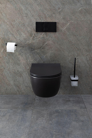 Унитаз подвесной Allen Brau Priority 4.31001.31 с крышкой, черный матовый