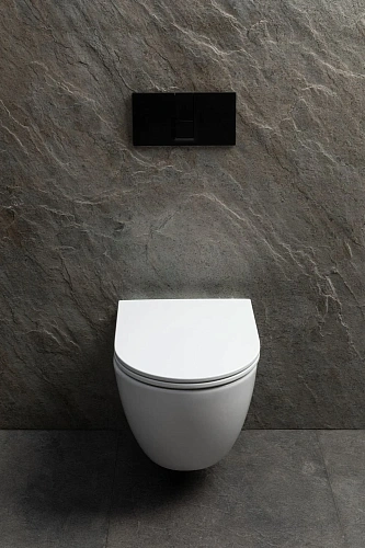 Унитаз подвесной Allen Brau Priority Tornado 4.31008.20 с крышкой, белый глянец Унитаз подвесной Allen Brau Priority Tornado 4.31008.20 с крышкой, белый глянец