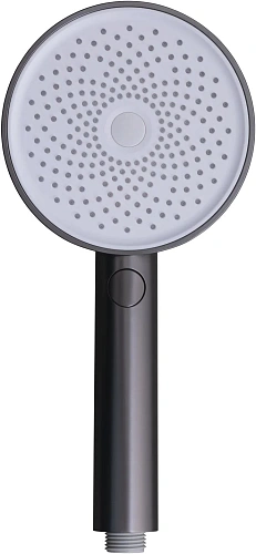 Душевая лейка Allen Brau Priority 5.31B20-MG графит брашированный Душевая лейка Allen Brau Priority 5.31B20-MG графит брашированный