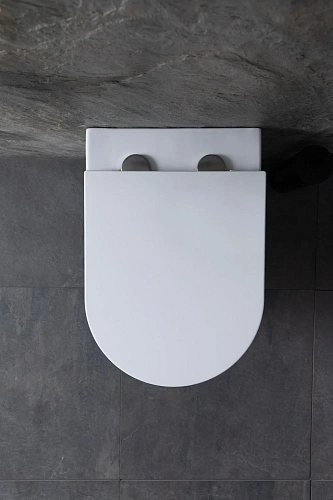 Комплект унитаза Allen Brau Reality 4.32006.20/8.9466.0.000.000.1 (00316510) с инсталляцией, белый глянец Комплект унитаза Allen Brau Reality 4.32006.20/8.9466.0.000.000.1 (00316510) с инсталляцией, белый глянец