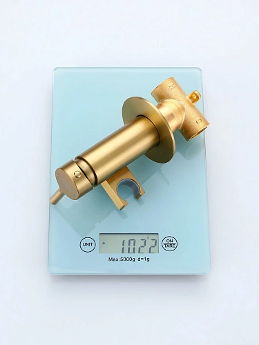 Гигиенический душ Raglo R20.54.03 встраиваемый, сатин золотой Гигиенический душ Raglo R20.54.03 встраиваемый, сатин золотой