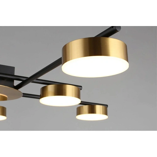 Люстра потолочная Aployt Delayn APL.042.07.56 Люстра потолочная Aployt Delayn APL.042.07.56