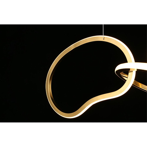 Люстра подвесная Aployt Pirret APL.046.03.80 Люстра подвесная Aployt Pirret APL.046.03.80