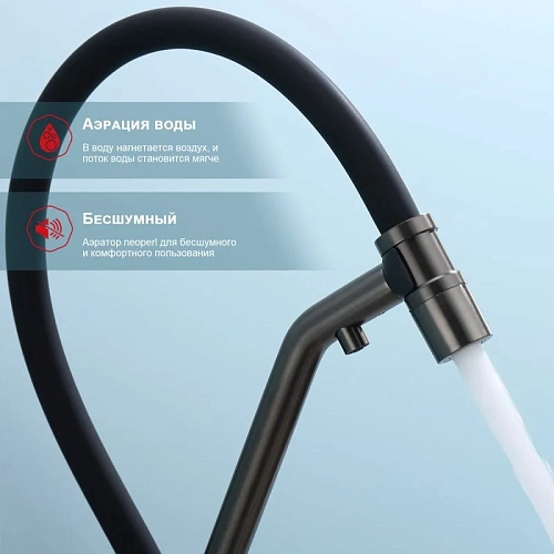 Смеситель для кухни Raglo R81.62.09 с гибким изливом с подключением к фильтру, графит Смеситель для кухни Raglo R81.62.09 с гибким изливом с подключением к фильтру, графит