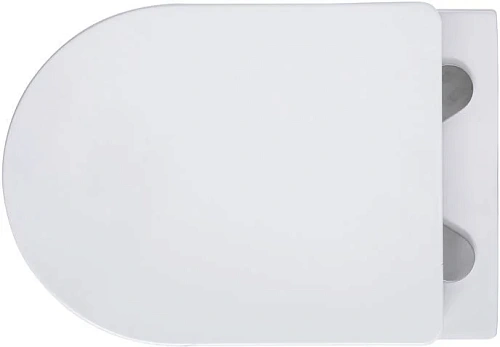 Унитаз подвесной Aquanet Rimless Atago 2.0 W LX-1905 00243549 с крышкой микролифт Унитаз подвесной Aquanet Rimless Atago 2.0 W LX-1905 00243549 с крышкой микролифт