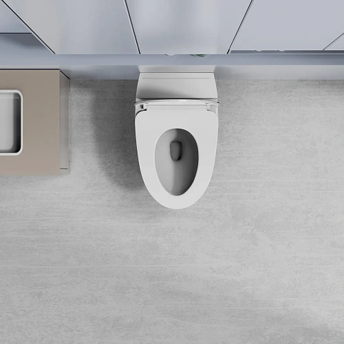 Унитаз напольный ABBER Bequem AC1125P белый с импульсным смывом Унитаз напольный ABBER Bequem AC1125P белый с импульсным смывом