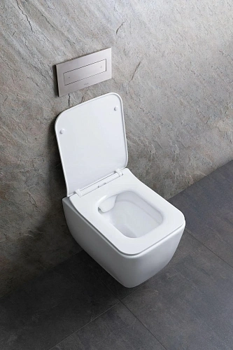 Унитаз подвесной Allen Brau Liberty 4.33007.21 с крышкой, белый матовый Унитаз подвесной Allen Brau Liberty 4.33007.21 с крышкой, белый матовый