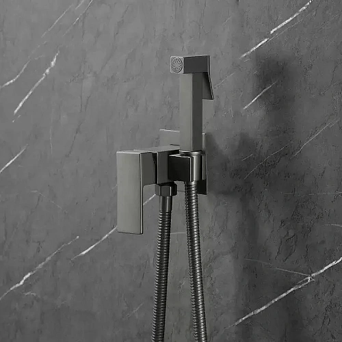 Гигиенический душ BOCH MANN RESIA BM10414 GR CK-P11GR из латуни, с шлангом 120 см, серый Гигиенический душ BOCH MANN RESIA BM10414 GR CK-P11GR из латуни, с шлангом 120 см, серый