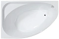 Акриловая ванна VAGNERPLAST HAPI 170x110 Left VPBA170HAP3LX-04 Акриловая ванна VAGNERPLAST HAPI 170x110 Left VPBA170HAP3LX-04