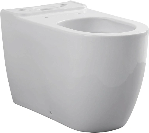 Чаша напольного унитаза Allen Brau Priority 4.31003.20 с крышкой, белый Чаша напольного унитаза Allen Brau Priority 4.31003.20 с крышкой, белый