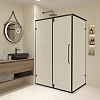 Картинка анонса товара «душевой уголок rgw cl-046b 1000x800 мм 350904608-24 черный easy clean»