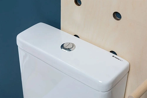 Чаша напольного унитаза Aquanet Rimless Cetus-C1 BL-102N-TPT CETUS-C1 с сиденьем Чаша напольного унитаза Aquanet Rimless Cetus-C1 BL-102N-TPT CETUS-C1 с сиденьем