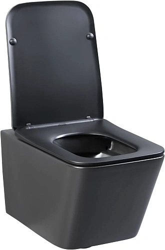 Унитаз подвесной Aquanet Rimless Tavr-W BL-103N-WHT black черный матовый TAVR-W BW с сиденьем Унитаз подвесной Aquanet Rimless Tavr-W BL-103N-WHT black черный матовый TAVR-W BW с сиденьем