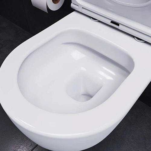 Унитаз подвесной Damixa Sirius DX86C1700SC безободковый с сиденьем микролифт Унитаз подвесной Damixa Sirius DX86C1700SC безободковый с сиденьем микролифт