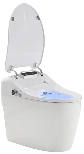 Унитаз SMART Timo ТЕ-731 (680x400x560) напольный с функцией биде Унитаз SMART Timo ТЕ-731 (680x400x560) напольный с функцией биде