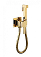 Гигиенический душ CeramaLux KBS/003 золото