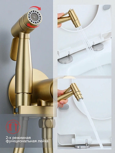 Гигиенический душ Raglo R20.54.03 встраиваемый, сатин золотой Гигиенический душ Raglo R20.54.03 встраиваемый, сатин золотой