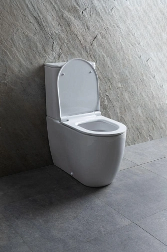 Чаша напольного унитаза Allen Brau Priority 4.31003.20 с крышкой, белый Чаша напольного унитаза Allen Brau Priority 4.31003.20 с крышкой, белый