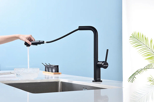 Смеситель для кухни Paulmark NEO антрацит Ne214419-AN Смеситель для кухни Paulmark NEO антрацит Ne214419-AN