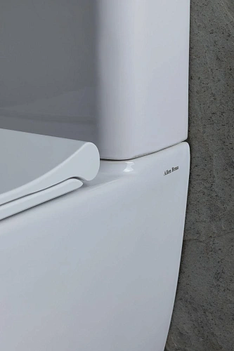 Чаша напольного унитаза Allen Brau Priority 4.31003.20 с крышкой, белый Чаша напольного унитаза Allen Brau Priority 4.31003.20 с крышкой, белый