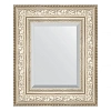 Зеркало в багетной раме Evoform Exclusive BY 3374 50 x 60 см, виньетка серебро Зеркало в багетной раме Evoform Exclusive BY 3374 50 x 60 см, виньетка серебро