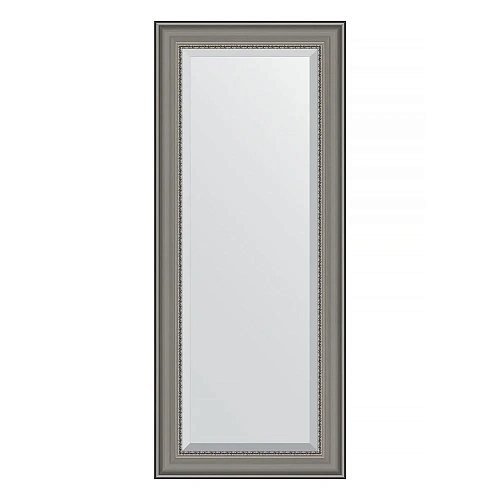 Зеркало в багетной раме Evoform Exclusive BY 1265 61 x 146 см, хамелеон Зеркало в багетной раме Evoform Exclusive BY 1265 61 x 146 см, хамелеон