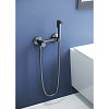 Гигиенический душ RGW Shower Panels SP-215Gr серый brush Гигиенический душ RGW Shower Panels SP-215Gr серый brush