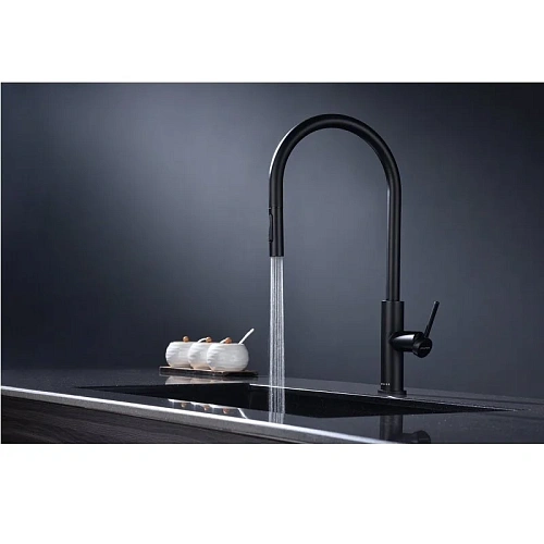 Смеситель для кухни Paulmark Senso антрацит Se215180-AN Смеситель для кухни Paulmark Senso антрацит Se215180-AN