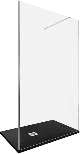 Душевая перегородка Allen Brau Infinity 1 120 3.21019.BA серебро брашированное Душевая перегородка Allen Brau Infinity 1 120 3.21019.BA серебро брашированное